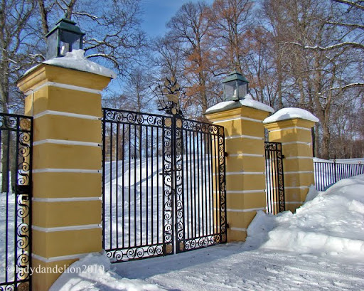 gates | lady dandelion